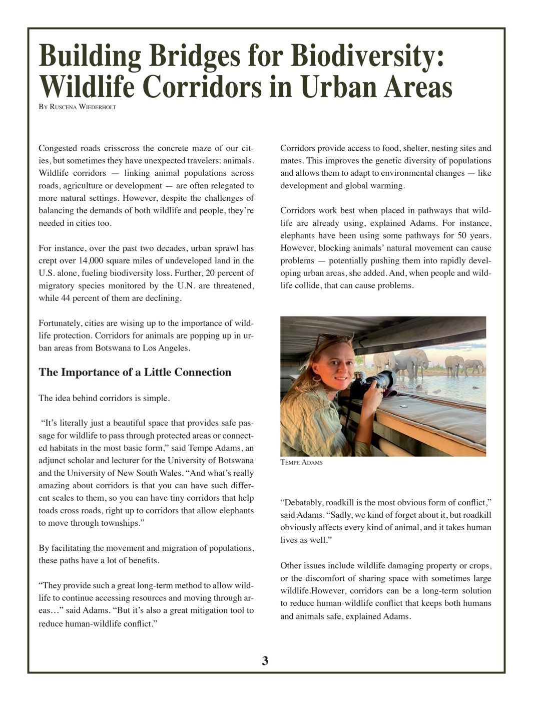 Building Bridges for Biodiversity: Wildlife Corridors in Urban Areas